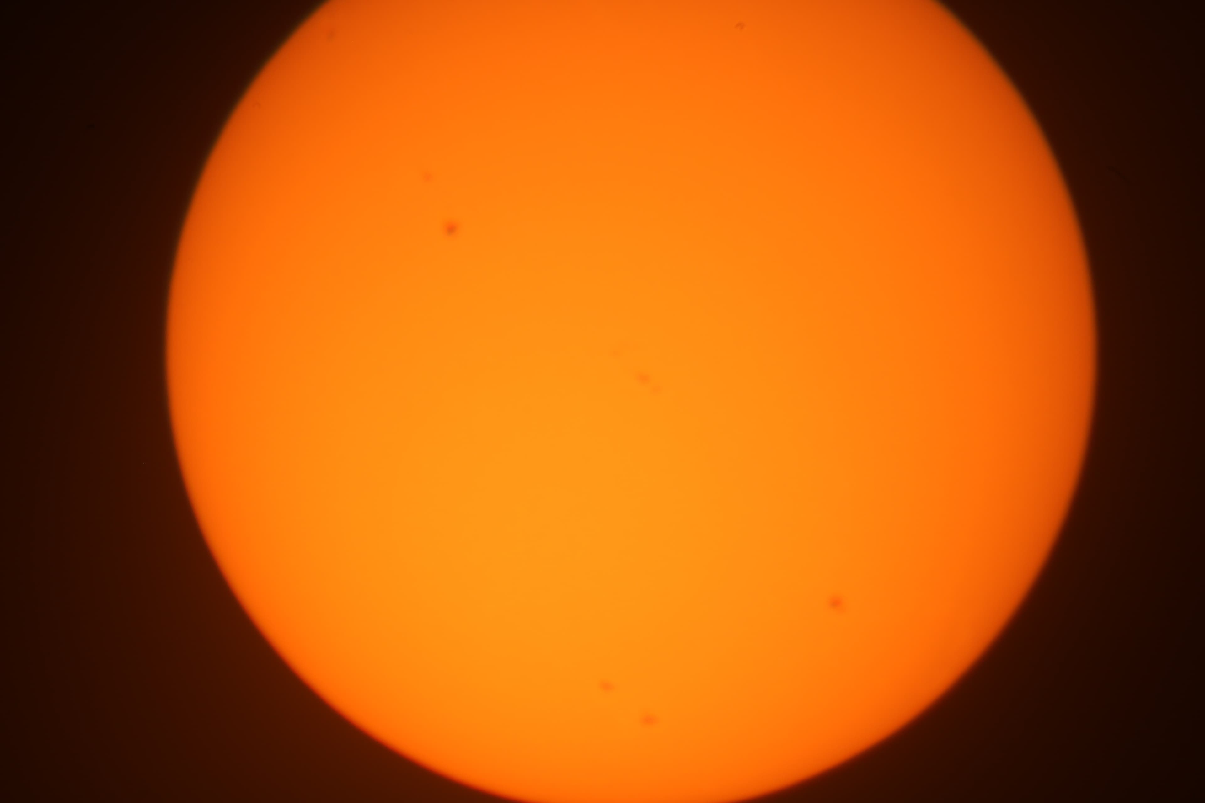 Sun - IMG_1488.JPG